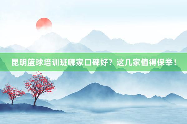 昆明篮球培训班哪家口碑好？这几家值得保举！